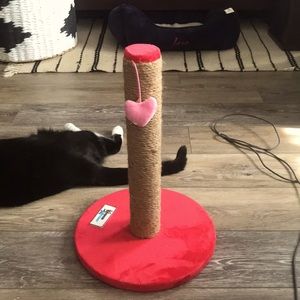 Cat scratch post